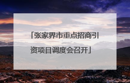 张家界市重点招商引资项目调度会召开