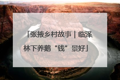 张掖乡村故事｜临泽林下养鹅“钱”景好