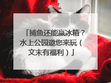 捕鱼还能赢冰箱？水上公园邀您来玩（文末有福利）