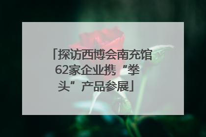 探访西博会南充馆 62家企业携“拳头”产品参展