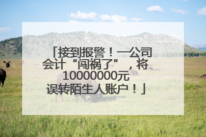 接到报警！一公司会计“闯祸了”，将10000000元误转陌生人账户！