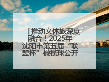 推动文体旅深度融合！2025年沈阳市第五届“联盟杯”橄榄球公开赛燃情开赛