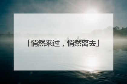 悄然来过，悄然离去