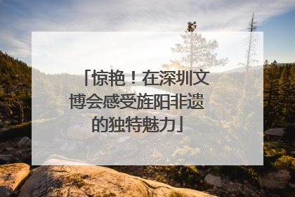 惊艳！在深圳文博会感受旌阳非遗的独特魅力
