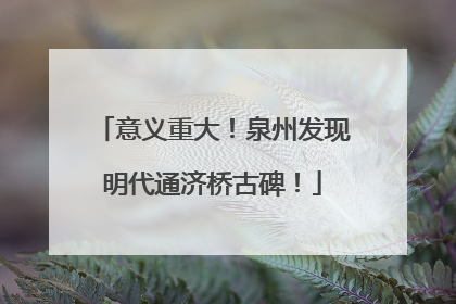 意义重大！泉州发现明代通济桥古碑！
