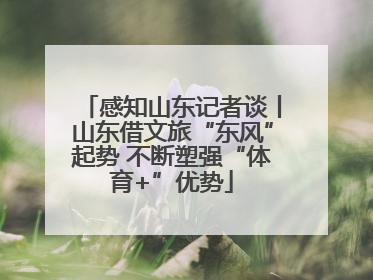 感知山东记者谈丨山东借文旅“东风”起势 不断塑强“体育+”优势