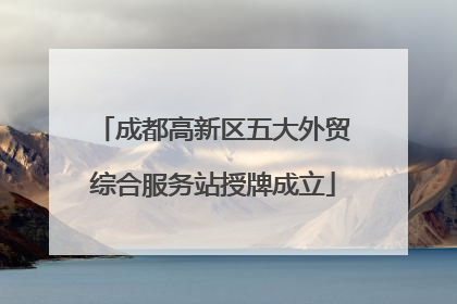 成都高新区五大外贸综合服务站授牌成立
