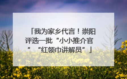 我为家乡代言！崇阳评选一批“小小推介官”“红领巾讲解员”