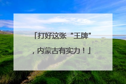 打好这张“王牌”，内蒙古有实力！