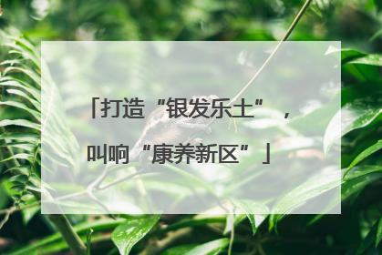 打造“银发乐土”，叫响“康养新区”