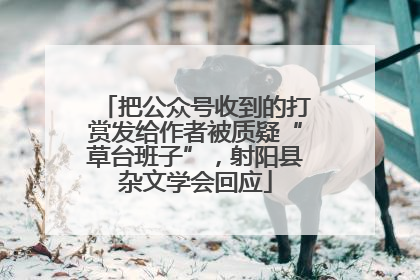 把公众号收到的打赏发给作者被质疑“草台班子”，射阳县杂文学会回应