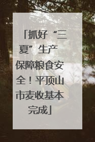 抓好“三夏”生产 保障粮食安全！平顶山市麦收基本完成