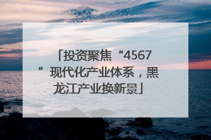投资聚焦“4567”现代化产业体系，黑龙江产业换新景