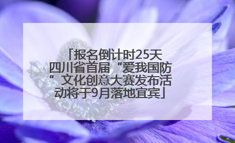 报名倒计时25天 四川省首届“爱我国防”文化创意大赛发布活动将于9月落地宜宾