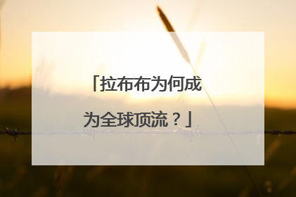 拉布布为何成为全球顶流？