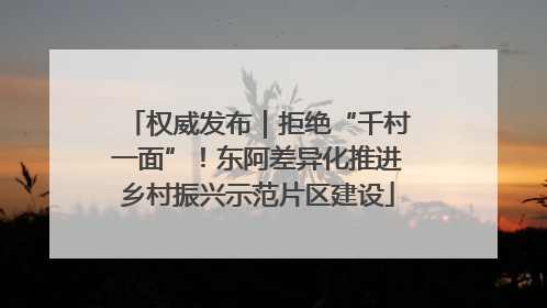 权威发布｜拒绝“千村一面”！东阿差异化推进乡村振兴示范片区建设