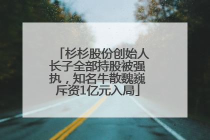 杉杉股份创始人长子全部持股被强执，知名牛散魏巍斥资1亿元入局