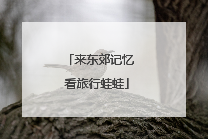 来东郊记忆 看旅行蛙蛙