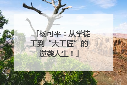 杨可平：从学徒工到“大工匠”的逆袭人生！