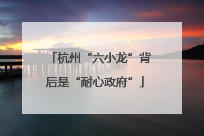 杭州“六小龙”背后是“耐心政府”