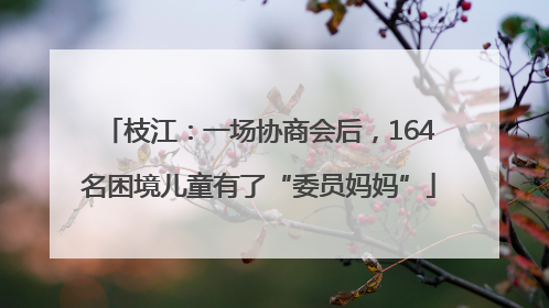 枝江：一场协商会后，164名困境儿童有了“委员妈妈”