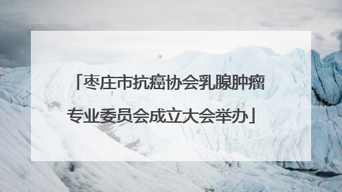 枣庄市抗癌协会乳腺肿瘤专业委员会成立大会举办
