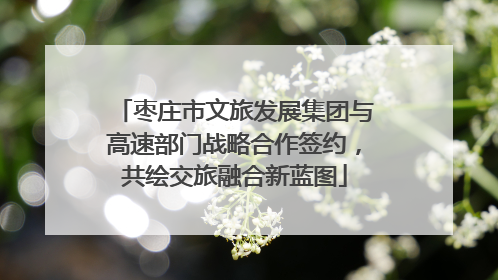 枣庄市文旅发展集团与高速部门战略合作签约，共绘交旅融合新蓝图
