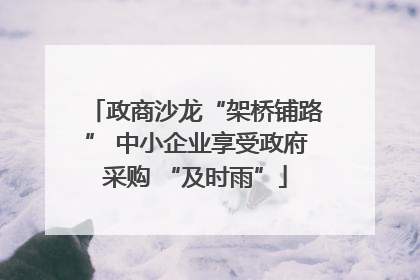 政商沙龙“架桥铺路” 中小企业享受政府采购 “及时雨”