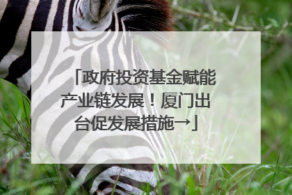 政府投资基金赋能产业链发展！厦门出台促发展措施→
