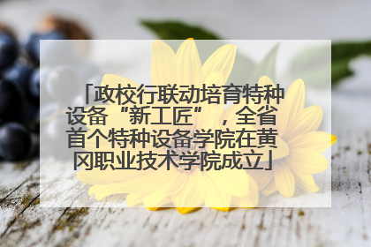 政校行联动培育特种设备“新工匠”，全省首个特种设备学院在黄冈职业技术学院成立