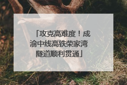 攻克高难度！成渝中线高铁荣家湾隧道顺利贯通