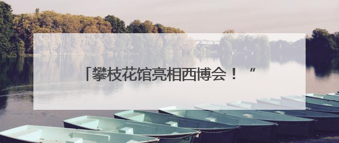 攀枝花馆亮相西博会！“豹局长”带你体验“暖暖花城”独特魅力｜西博视界