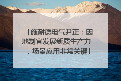 施耐德电气尹正：因地制宜发展新质生产力，场景应用非常关键