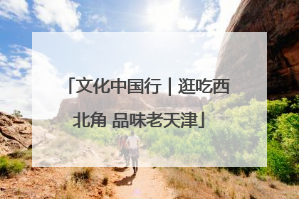 文化中国行｜逛吃西北角 品味老天津