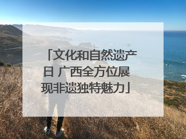 文化和自然遗产日 广西全方位展现非遗独特魅力
