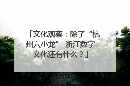 文化观察：除了“杭州六小龙” 浙江数字文化还有什么？