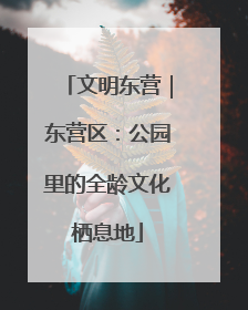 文明东营｜东营区：公园里的全龄文化栖息地