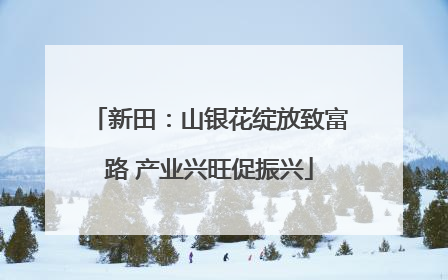 新田：山银花绽放致富路 产业兴旺促振兴