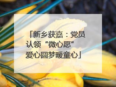 新乡获嘉：党员认领“微心愿” 爱心圆梦暖童心