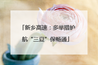 新乡高速：多举措护航“三夏”保畅通