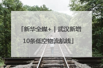 新华全媒+｜武汉新增10条低空物流航线
