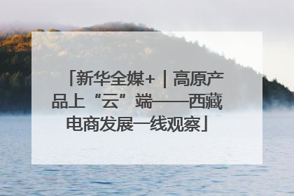 新华全媒+｜高原产品上“云”端——西藏电商发展一线观察