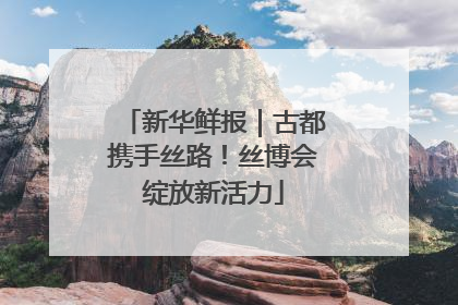 新华鲜报｜古都携手丝路！丝博会绽放新活力