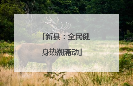 新县：全民健身热潮涌动