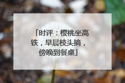 时评：樱桃坐高铁，早晨枝头摘，傍晚到餐桌