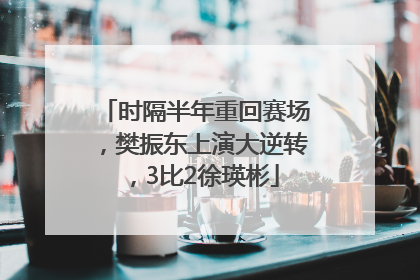 时隔半年重回赛场，樊振东上演大逆转，3比2徐瑛彬