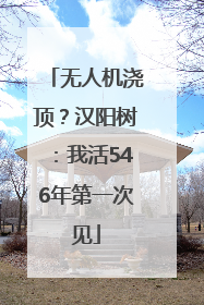 无人机浇顶？汉阳树：我活546年第一次见