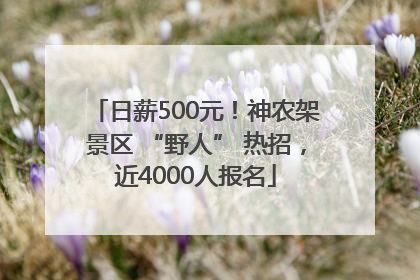 日薪500元！神农架景区 “野人” 热招，近4000人报名