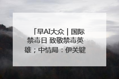早AI大众｜国际禁毒日 致敬禁毒英雄；中情局：伊关键核设施被摧毁