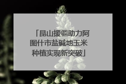 昆山援疆助力阿图什市盐碱地玉米种植实现新突破